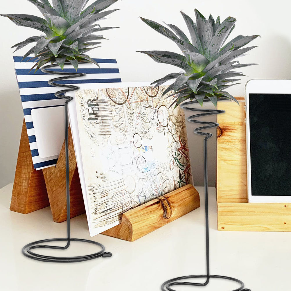 Art Craft Room Ideas - 2Pcs Iron Air Plant Tabletop Stand